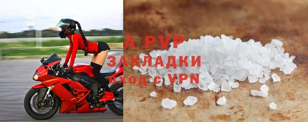 сатива Волоколамск