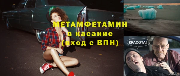 сатива Волоколамск