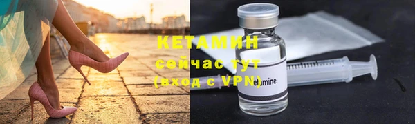 сатива Волоколамск
