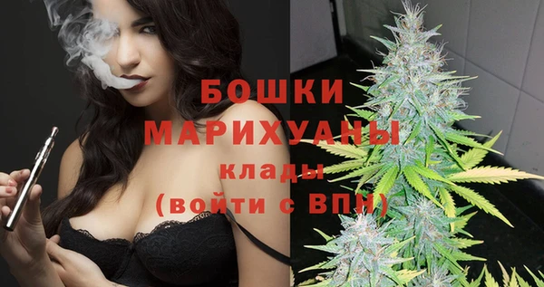 сатива Волоколамск